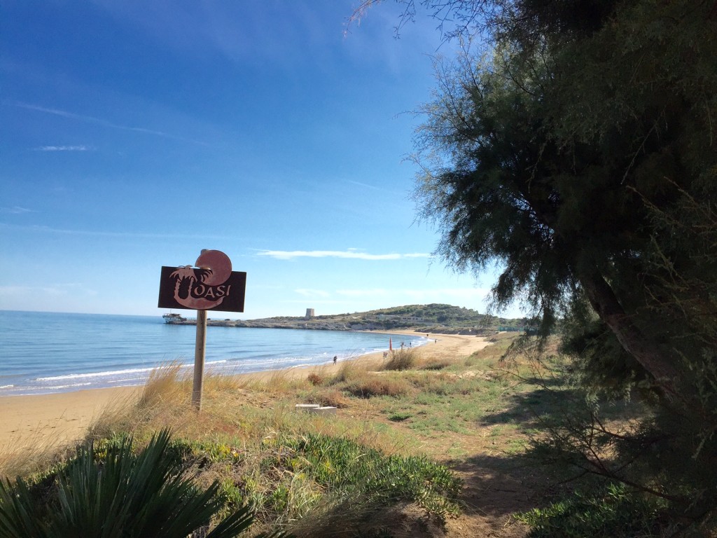 Oasi Villaggio Vieste Direttamente Sul Mare Con Piscina